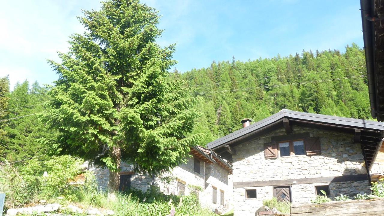 Il Refuge Cir 119 Apartment Courmayeur Exterior foto